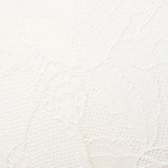 Plunge Push-Up Lace Bra, CLOUD DANCER, swatch