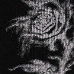 Nightfall Full-Length Printed Legging, SPIRALED ROSES, swatch