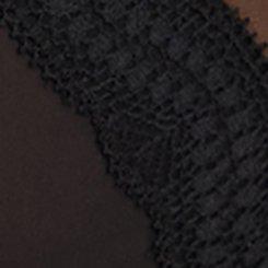 Plus Size Mesh Mid-Rise Cheeky Panty, RICH BLACK, swatch