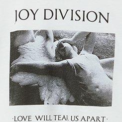 Plus Size Joy Division Cotton Raglan Crop Tee, BLANC DE BLANC, swatch