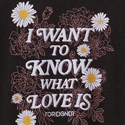 Plus Size Foreigner Classic Cotton Crew Tee, DEEP BLACK, swatch