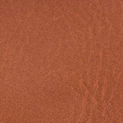 Toe Loop Flip Flop (WW), COGNAC, swatch