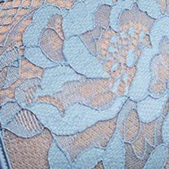 Plus Size Underwire Bella Donna Lace Bra, SPRING LAKE, swatch