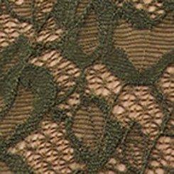 Plus Size Super Soft Lace Mid-Rise Hipster Panty, DEEP DEPTHS, swatch