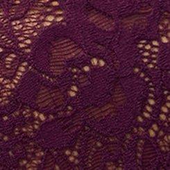 Plus Size Super Soft Lace Mid-Rise Hipster Panty, POTENT PURPLE, swatch