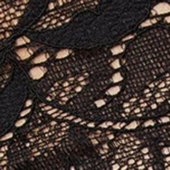 Lace High-Rise Brief Panty, RICH BLACK, swatch