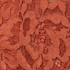 Lace High-Rise Brief Panty, BRUSCHETTA, swatch