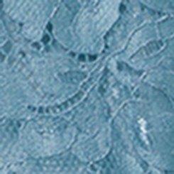 Plus Size Bella Donna Lace Cheeky Panty, SPRING LAKE, swatch