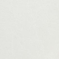 Plus Size Sheer Button-Up Shirt, CLOUD DANCER, swatch