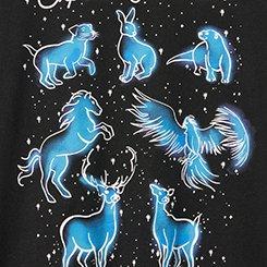 Harry Potter Classic Cotton Crew Tee, EXPECTO PATRONUM DEEP BLACK, swatch