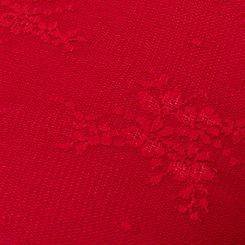 Sheer Lace Long Sleeve Crew Top, JESTER RED, swatch