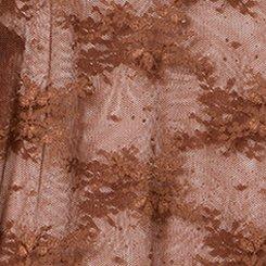 Sheer Lace Crew Long Sleeve Top, CAPPUCCINO, swatch