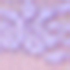 Sheer Lace Crew Long Sleeve Top, PAISLEY PURPLE, swatch