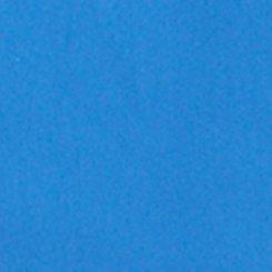 Plus Size Lizzie Poplin Button-Up Shirt, REGATTA, swatch