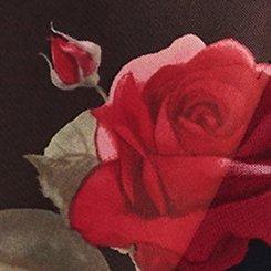 Mesh Crew Neck Long Sleeve Top, ENCORE ROSES FLORAL BLACK, swatch