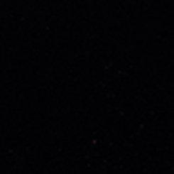 Nightfall Velvet Hook & Eye Cami, DEEP BLACK, swatch