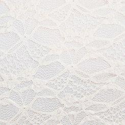 Stretch Lace Scoop-Neck Top, BIRCH, swatch