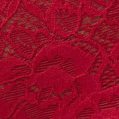 Plus Size Super Soft Lace Mid-Rise Brief Panty, JESTER RED, swatch