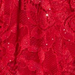 Full Coverage Unlined Lace Bra, JESTER RED, swatch