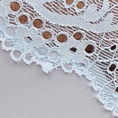 Plus Size Demure Lace Mid-Rise Hipster Panty, SKYWAY, swatch