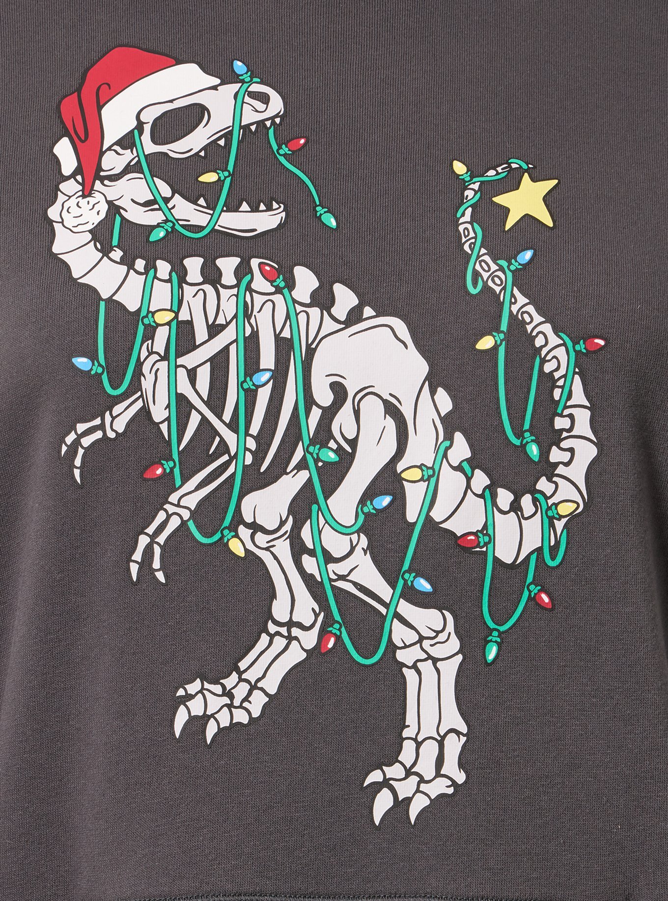 Plus Size Relaxed Cozy Fleece Hoodie, HOLIDAY DINO VINTAGE BLACK, alternate