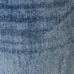 Plus Size Baggy High-Rise Straight Jean, LION'S TALE, swatch