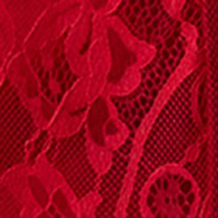 Abbey Lace Blouse, JESTER RED, swatch