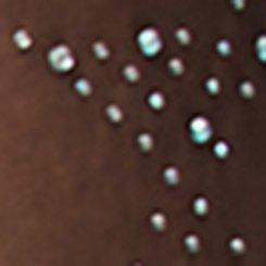 Star Shine Tights, BLACK, swatch