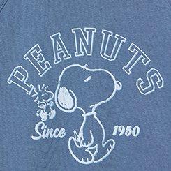Plus Size Peanuts Relaxed Raglan Sweatshirt, PEANUTS BLUE, swatch