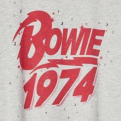 Plus Size David Bowie Embellished Crew Tee, BOWIE EMBELLISHMENT LT HEATHER GRAY, swatch