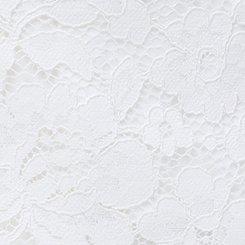 Plus Size Studio Lace Blazer, BLANC DE BLANC, swatch