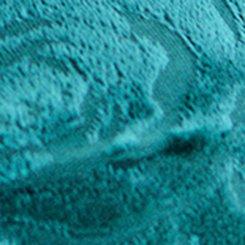 Retro Chic Twist Front Velour Swing Dress, TAMSIN ROSES FLORAL BOTANICAL GARDEN, swatch