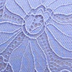 Ava Full Coverage Unlined Lace Bra, HYDRANGEA, swatch