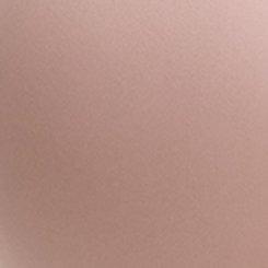 Plus Size Full Coverage Lightly Lined Smooth Bra, ROSE DUST, swatch
