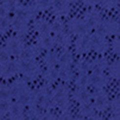 Lila Lace Mid-Rise Cheeky Panty, ROYAL BLUE, swatch