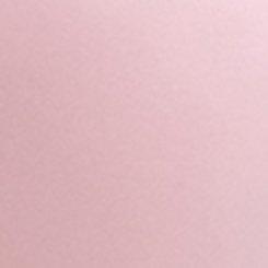 Lace High-Rise Brief Panty, PARFAIT PINK, swatch