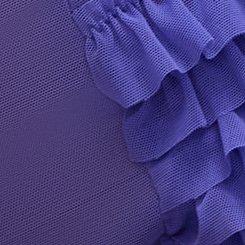 Rumba Mesh Mid-Rise Cheeky Panty, ROYAL BLUE, swatch