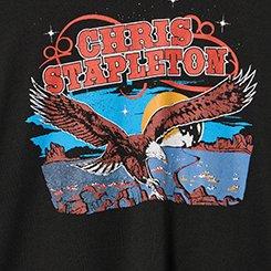 Chris Stapleton Classic Cotton Jersey Crew Tee, CHRIS STAPLETON EAGLE DEEP BLACK, swatch