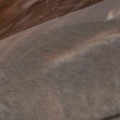 Statement Bangle Bracelet, BROWN, swatch