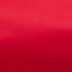 Satin Crop Corset Top, JESTER RED, swatch