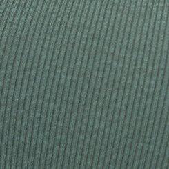 Plus Size Cotton Modal Rib Scoop Tank, DARK FOREST, swatch