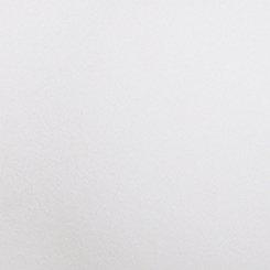 Plus Size TRU Performance Core Mesh Ruffle 2fer Active Dress, BLANC DE BLANC, swatch