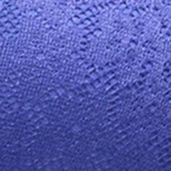 Perfect Coverage Lightly Lined Lace Bra, ROYAL BLUE, swatch