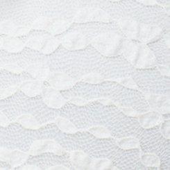 Lace Mini Dress, BLANC DE BLANC, swatch