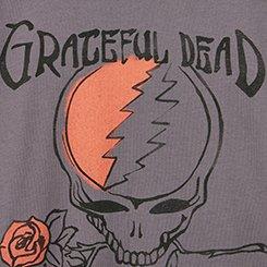 Grateful Dead Relaxed Cotton Jersey Tee, GRATEFUL DEAD TORNADO GRAY, swatch