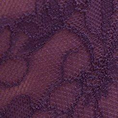 Aria Lace Cut-Out Mid-Rise Cheeky Panty, BLACKBERRY, swatch
