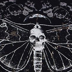 Nightfall Cotton Crew Graphic Tee, MOTH MOON, swatch
