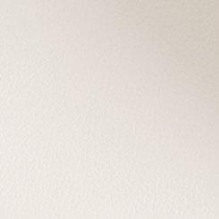 Criss-Cross Metal Trim Slide (WW), WHITE, swatch