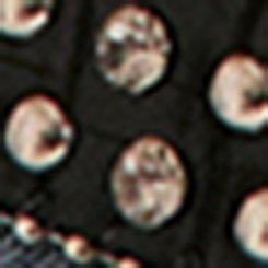 Studded Glitter Western Belt, BLACK, swatch