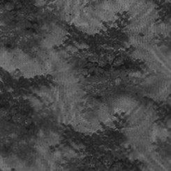 Sheer Lace Short Sleeve Top, DEEP BLACK, swatch